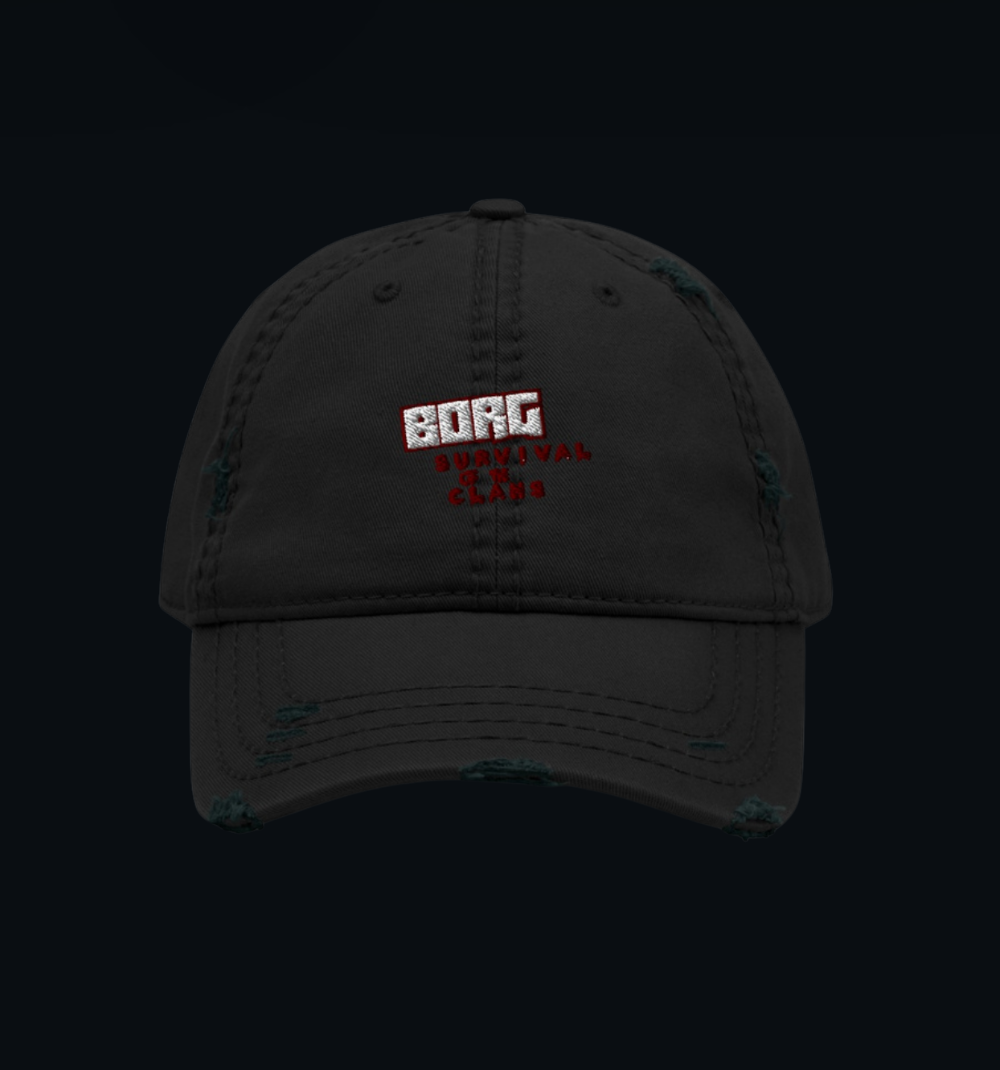 BORG distressed cap embroidery